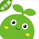豌豆素质